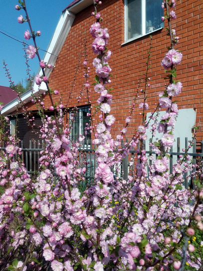 Коттедж 121,5 м² на участке 20 сот.