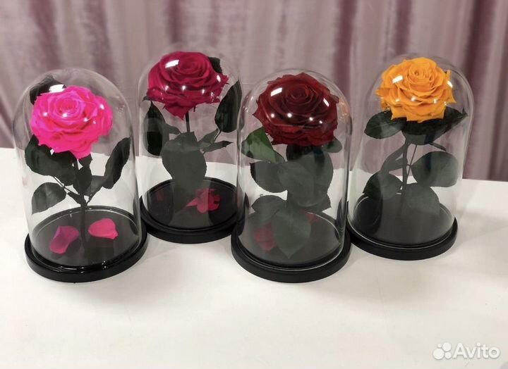 Роза в колбе