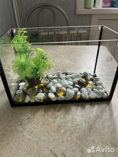 Аквариум с камушками
