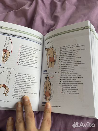 Книга Атлас функциональной анатомии человека