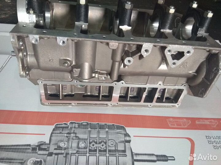 Блок цилиндров на Двигатель умз Evotech