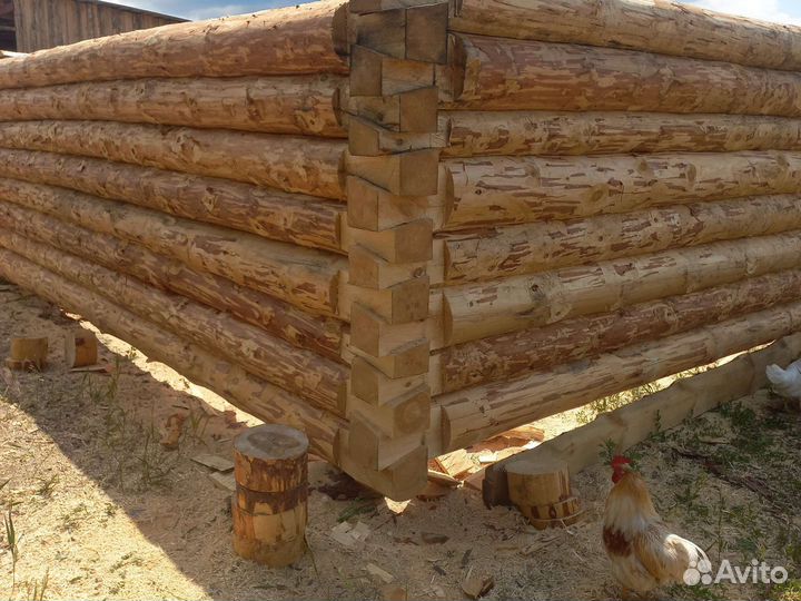 Сруб дом баня