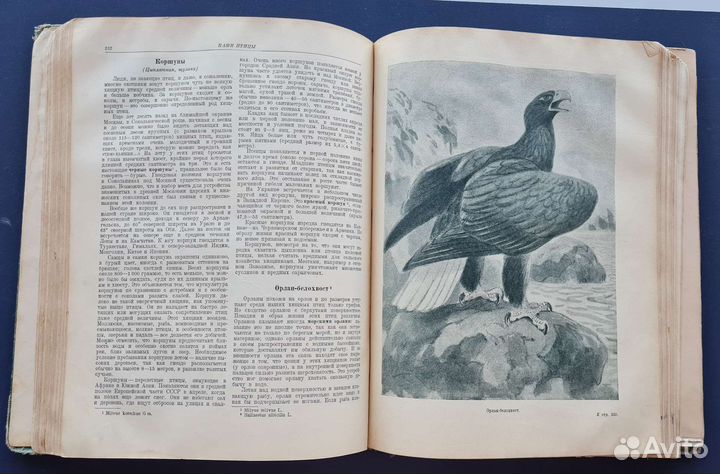 Раритетная книга 1940г. Животный мир СССР