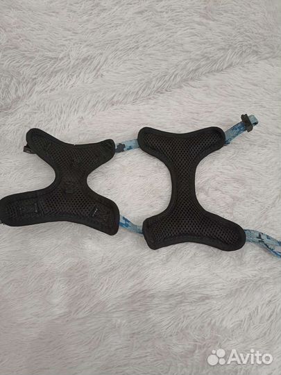 Анотомифески правильная шлейка для мелких собак