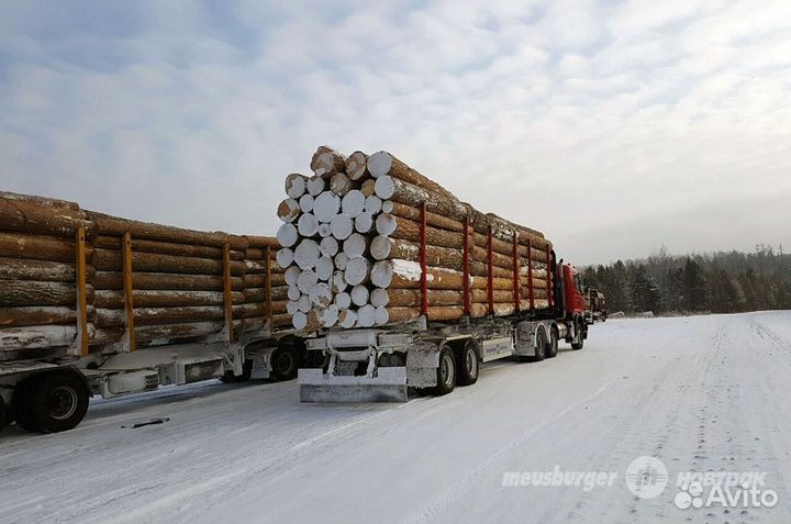 Полуприцеп лесовоз (сортиментовоз) Meusburger Новтрак SH-345, 2024