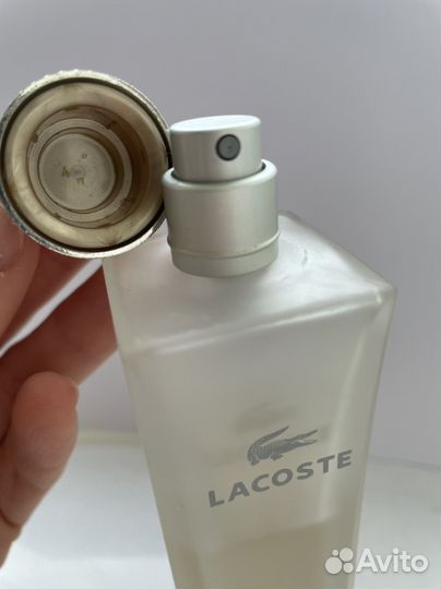 Lacoste pour femme legere оригинал