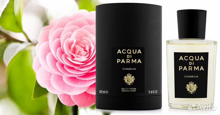 Acqua Di Parma Camelia eau de Parfum 100, 180 ml У