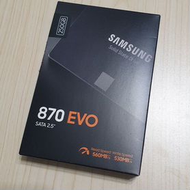 SSD Samsung 870 EVO 250 Gb