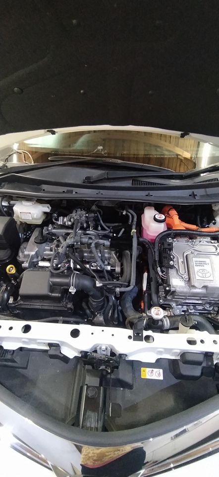 Toyota Corolla Fielder: фото владельца