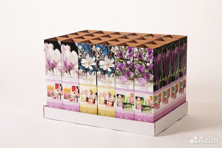 Магнолия суланжа