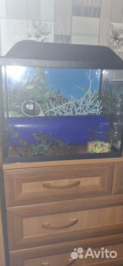 Аквариум 35л