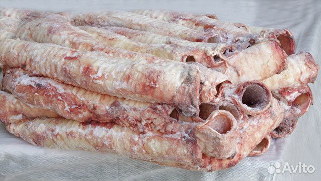 Трахея говяжья