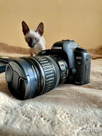 Комплект Canon EOS 5D mark II пробег 25к