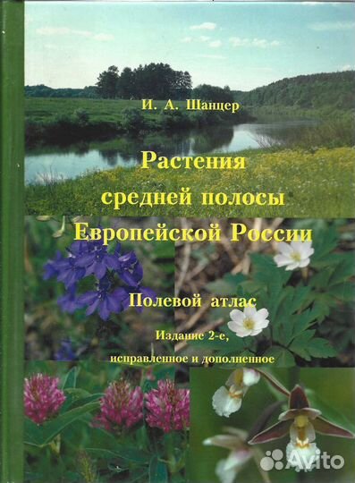 Растения средней полосы Европейской России. Полево