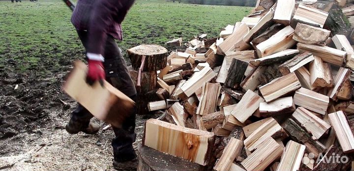 Дрова для камина