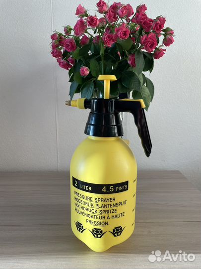 Распылитель помповый пульверизатор
