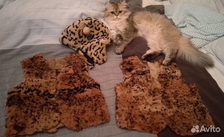 Детские натуральные жилетки и шапка СССР