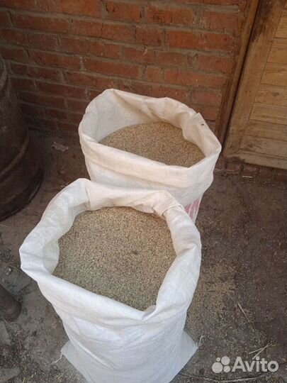 Пшеница, ячмень, дробленка