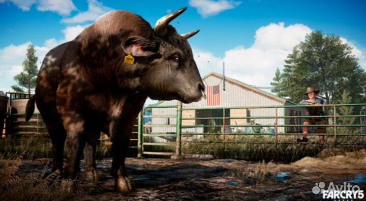 Far cry 4 + far cry 5 ps4