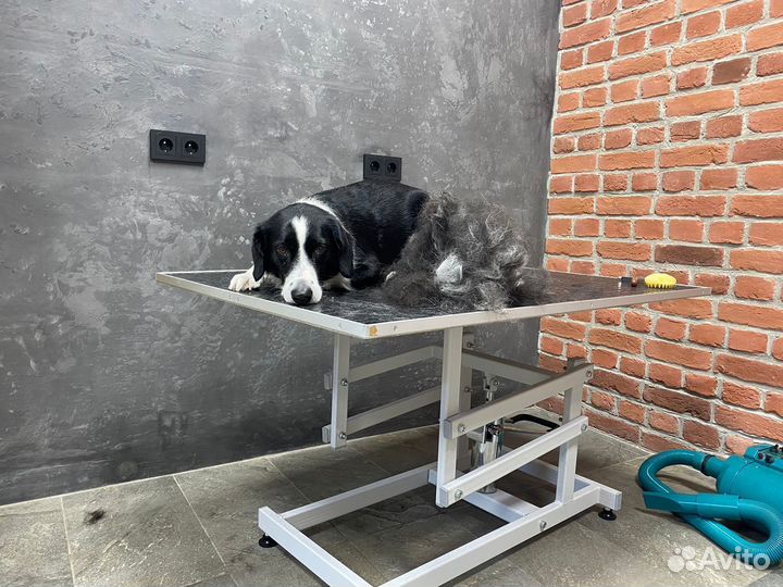 Стол для груминга