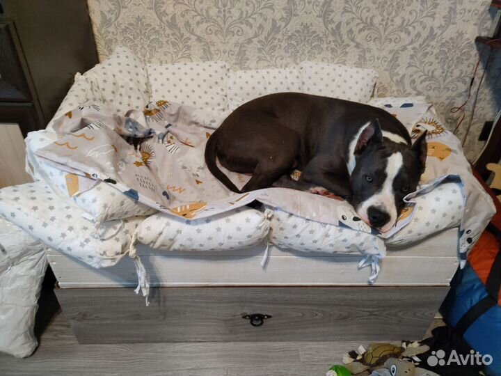 Кровать для собаки