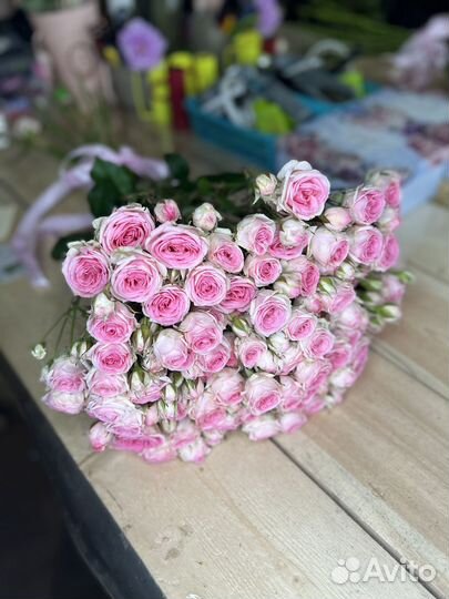 Кустовая роза букет доставка 15 25 51 101