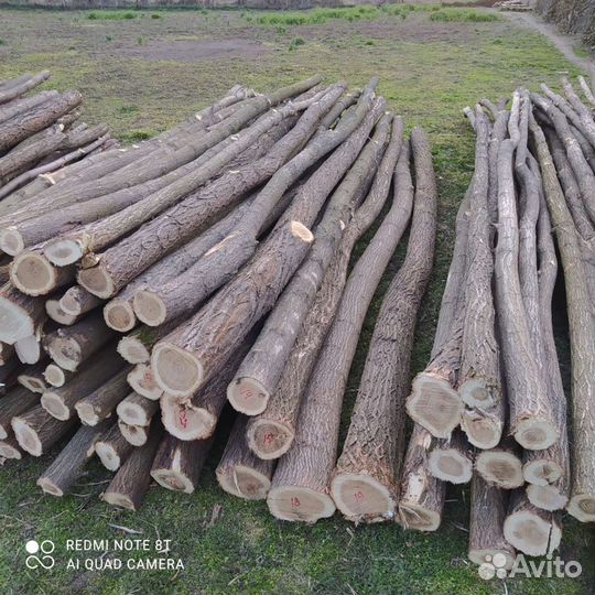 Столбики акации