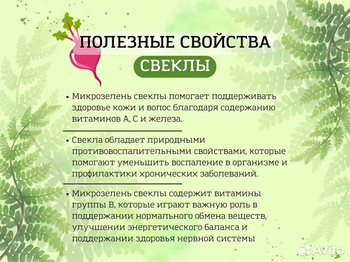 Микрозелень / Редис