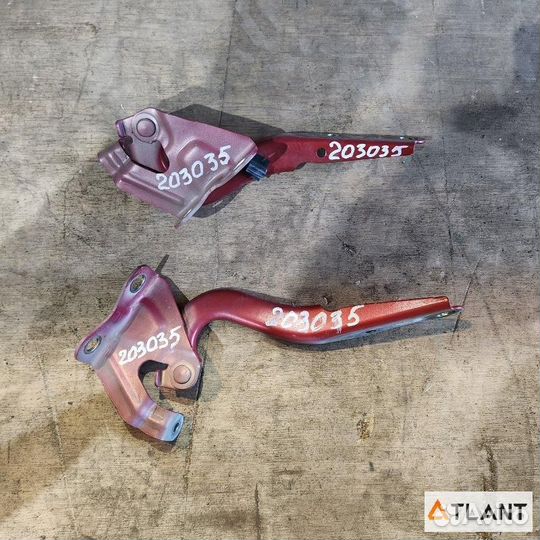 Петля капота toyota corolla axio