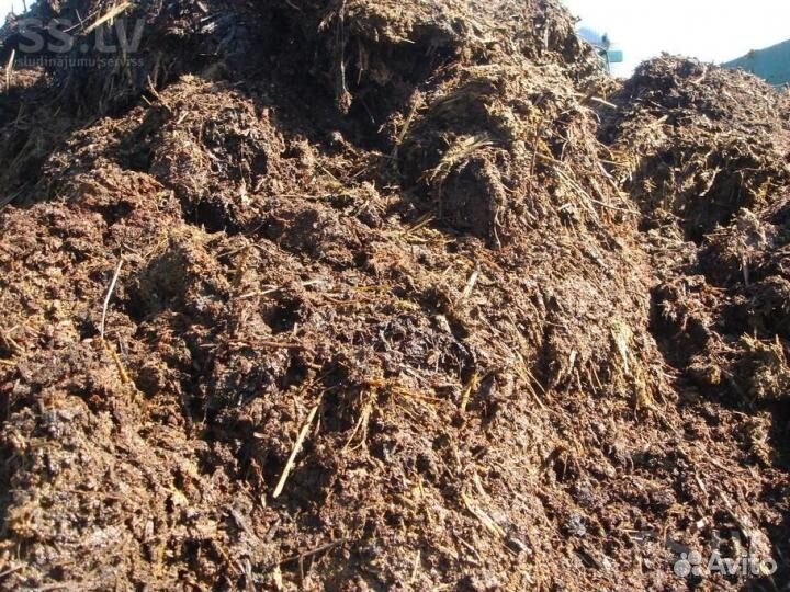 Перегной купить