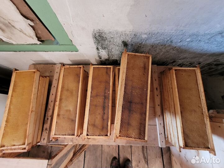 Сушь для пчел