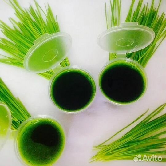 Витграсс - Природный энергетик