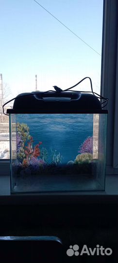 Аквариум