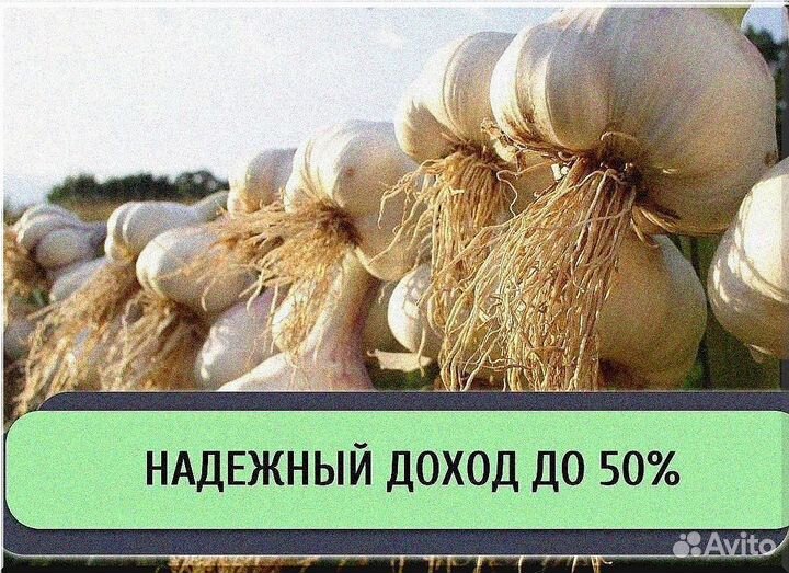 Развивающаяся компания ищет инвесторов