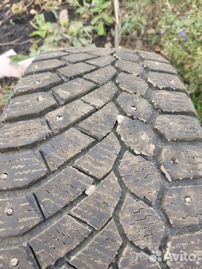 Gislaved Nord Frost 200 195/55 R15