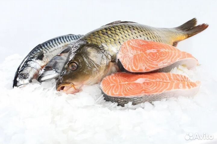Магазин рыбы и морепродуктов на продажу