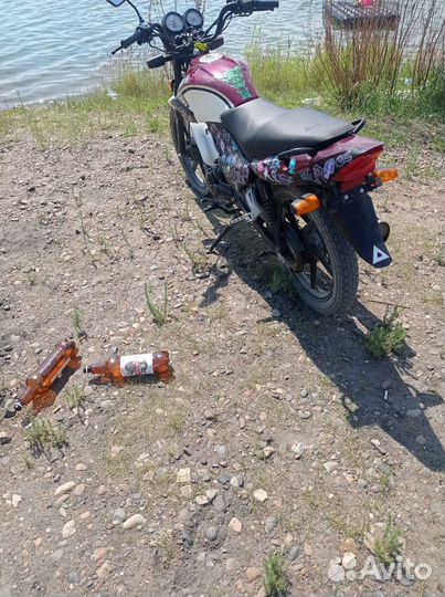 Racer 150-23 Tiger