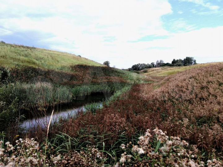 Участок 47 га (СНТ, ДНП)