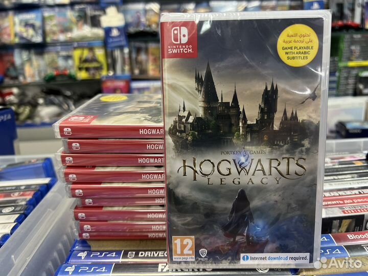 Hogwarts legacy nintendo switch