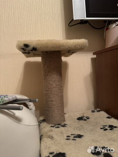 Когтеточка