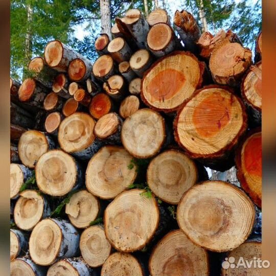 Дрова бесплатно