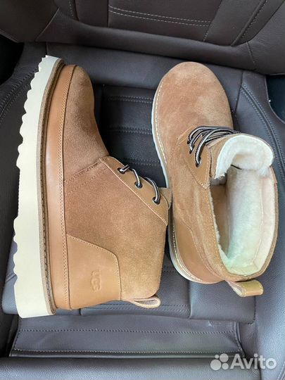 Ботинки на шнуровке Ugg Mens Neumel Gentleman