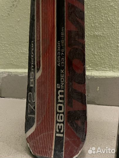 Горные лыжи