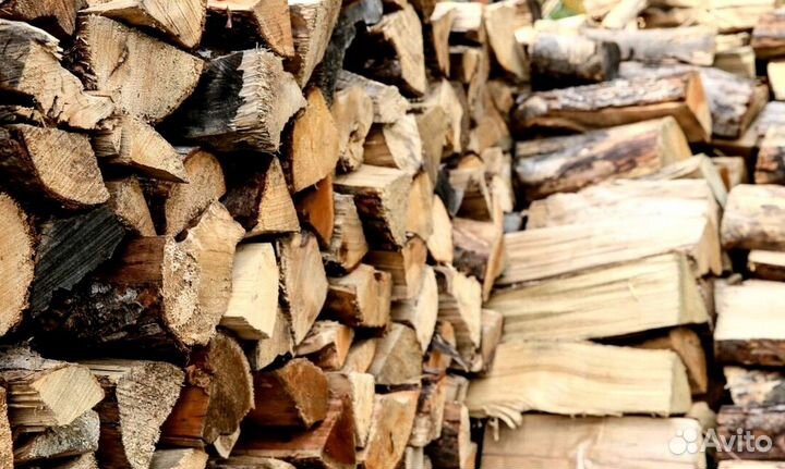 Дрова без жучков