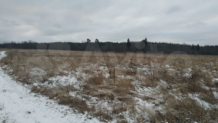 Участок 3,25 га (СНТ, ДНП)