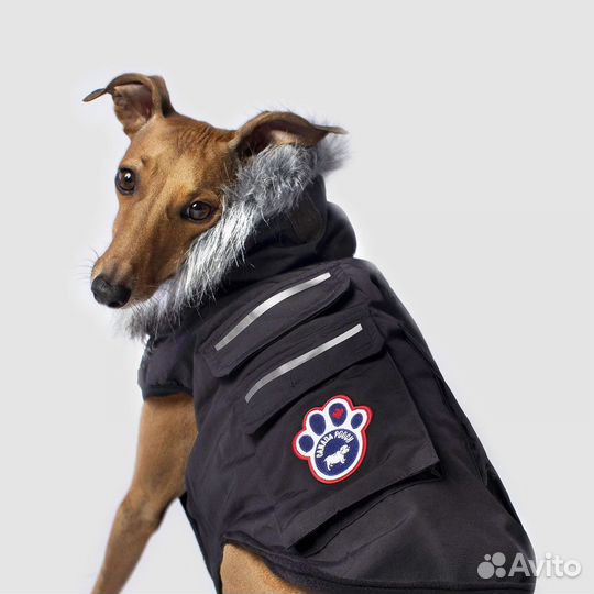 Одежда для маленькой собаки