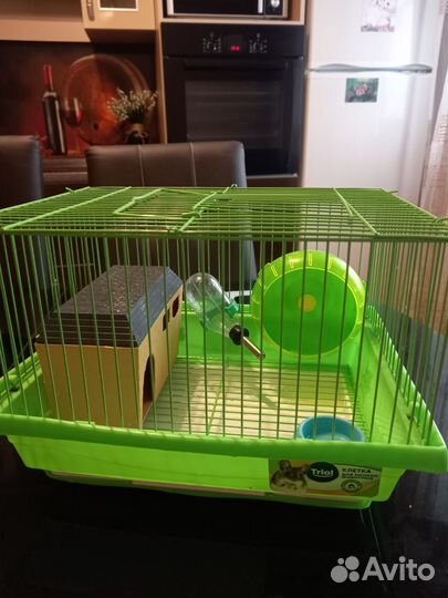 Клетка для джунгарского хомяка