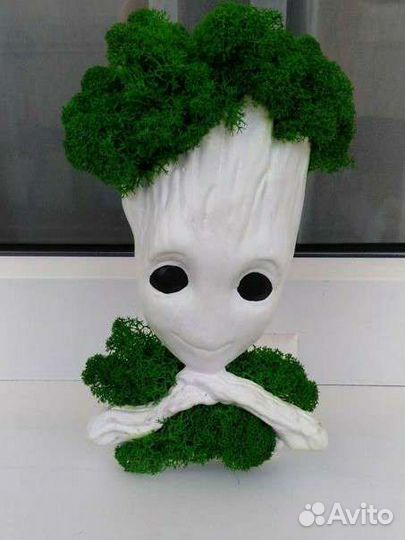 Кашпо со мхом