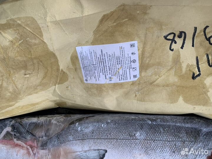 Рыба Кижуч пбг Охотск опт/розница