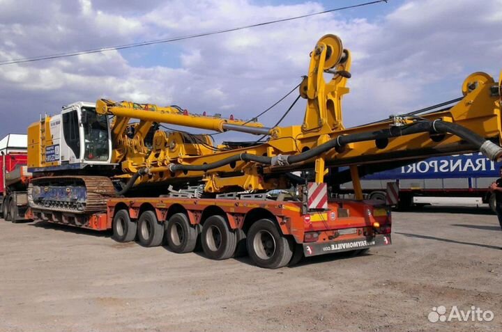 Разбор Бауэр Bauer